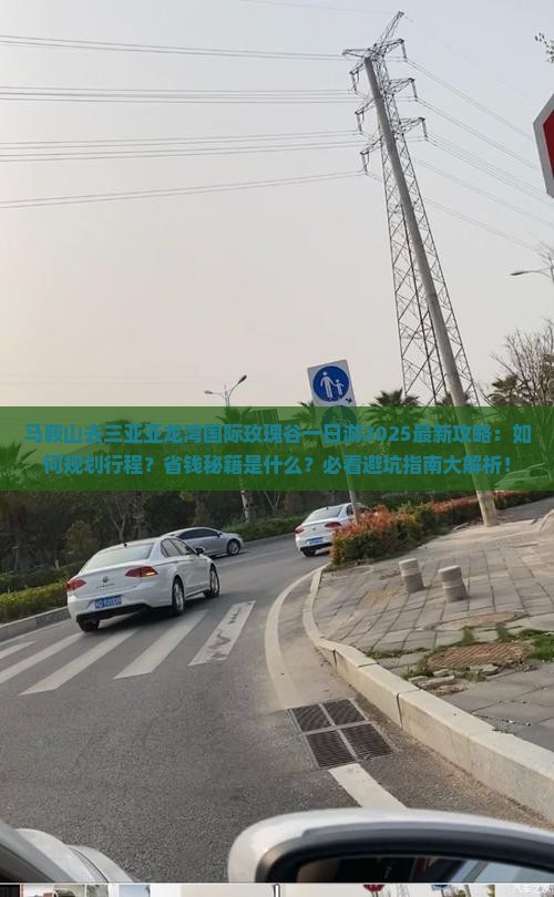 马鞍山去三亚亚龙湾国际玫瑰谷一日游