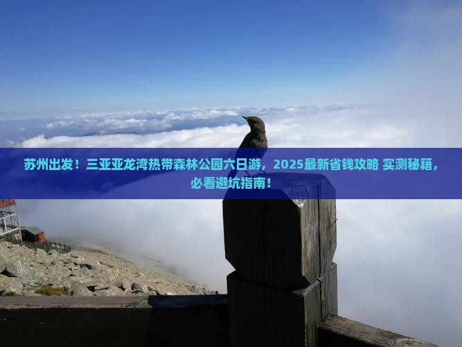 苏州去三亚亚龙湾热带森林公园六日游
