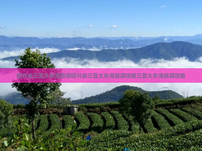 绍兴去三亚大东海旅游