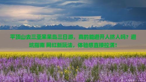 平顶山前往三亚呆呆岛三日游