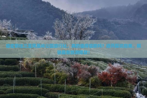 德宏前往三亚凤凰岭公园旅行社