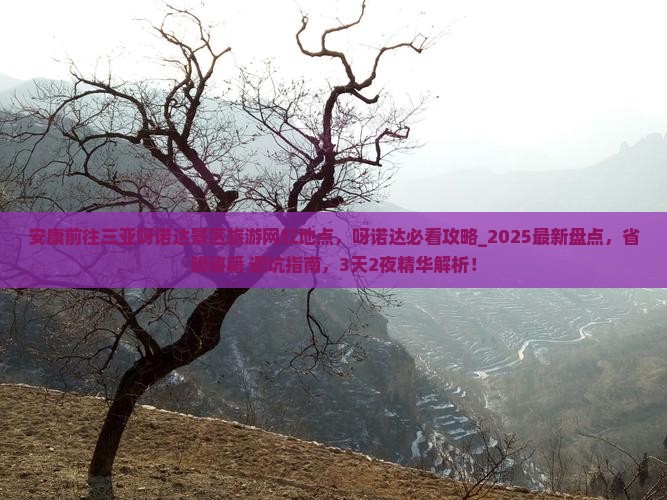 安康前往三亚呀诺达景区旅游网红地点