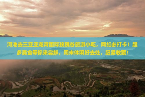 河池去三亚亚龙湾国际玫瑰谷旅游小吃