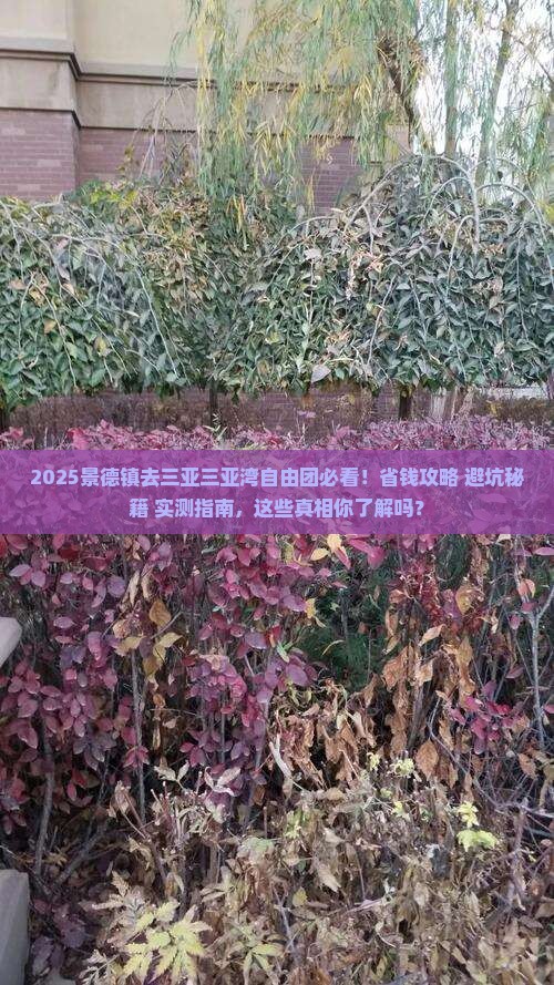 景德镇去三亚三亚湾自由团