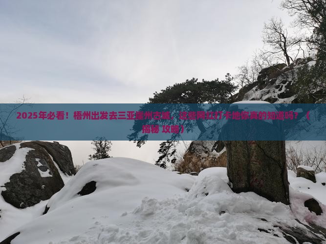 梧州前往三亚崖洲古城旅游网红地点