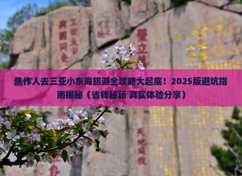 焦作去三亚小东海大型旅游团