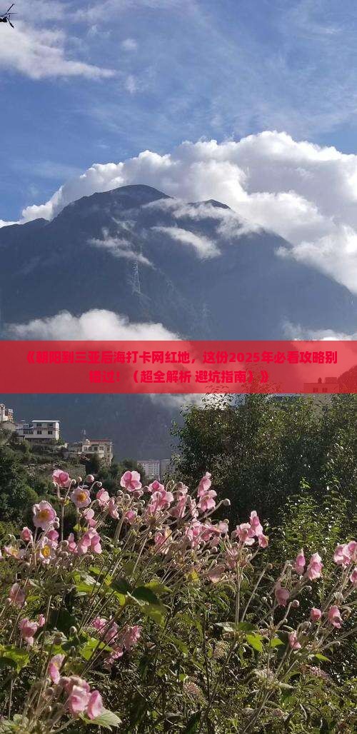 朝阳去三亚后海旅游网红地点