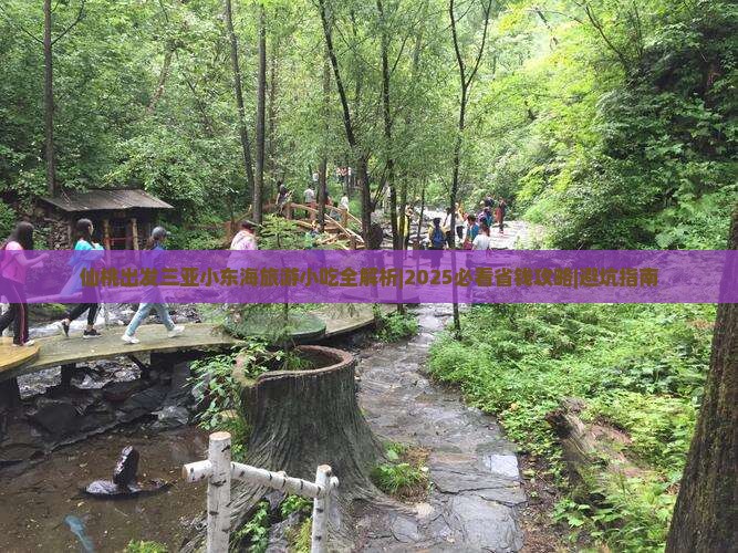 仙桃出发三亚小东海旅游小吃