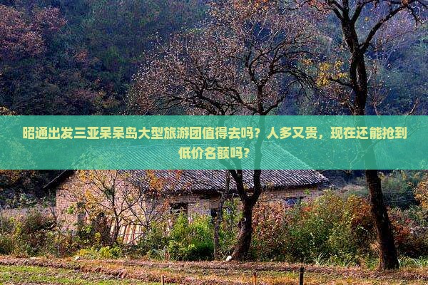 昭通出发三亚呆呆岛大型旅游团