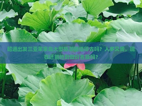 昭通出发三亚呆呆岛大型旅游团