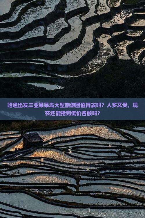 昭通出发三亚呆呆岛大型旅游团