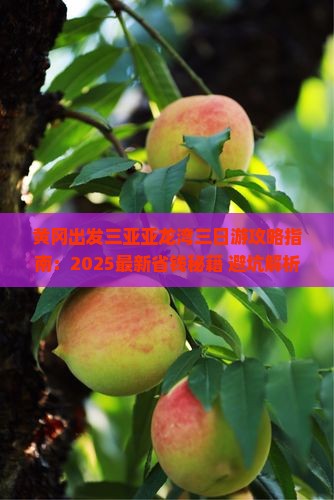 黄冈出发三亚亚龙湾三日游