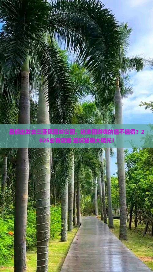 昌都去三亚凤凰岭公园团体旅游 昌都去三亚凤凰岭公园团体旅游