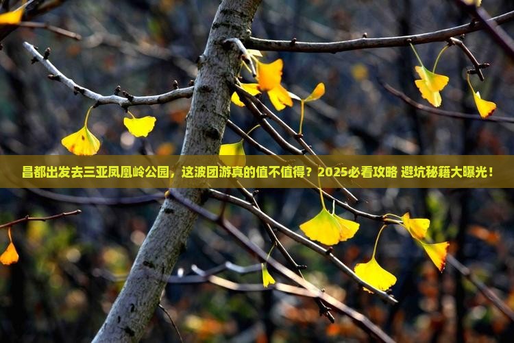 昌都去三亚凤凰岭公园团体旅游 昌都去三亚凤凰岭公园团体旅游