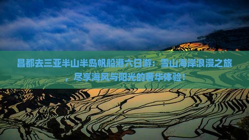 昌都去三亚半山半岛帆船港六日游