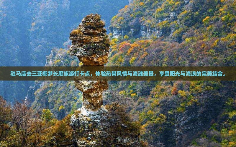 驻马店去三亚椰梦长廊旅游打卡点