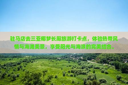 驻马店去三亚椰梦长廊旅游打卡点