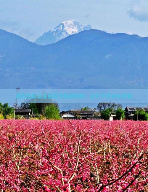 龙岩出发三亚亚龙湾旅游打卡点