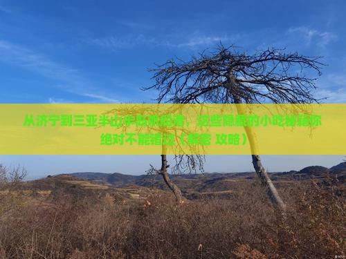 济宁前往三亚半山半岛帆船港旅游小吃