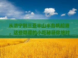 济宁前往三亚半山半岛帆船港旅游小吃