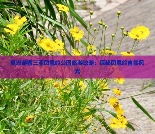 吴忠前往三亚凤凰岭公园自由行
