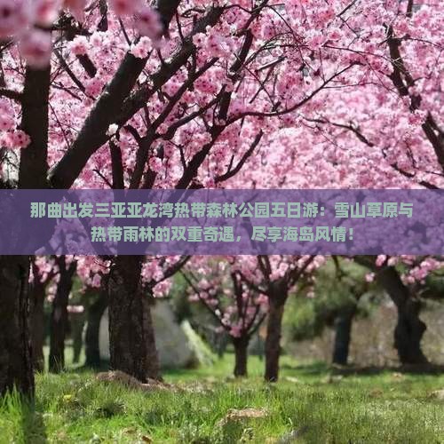 那曲出发三亚亚龙湾热带森林公园五日游