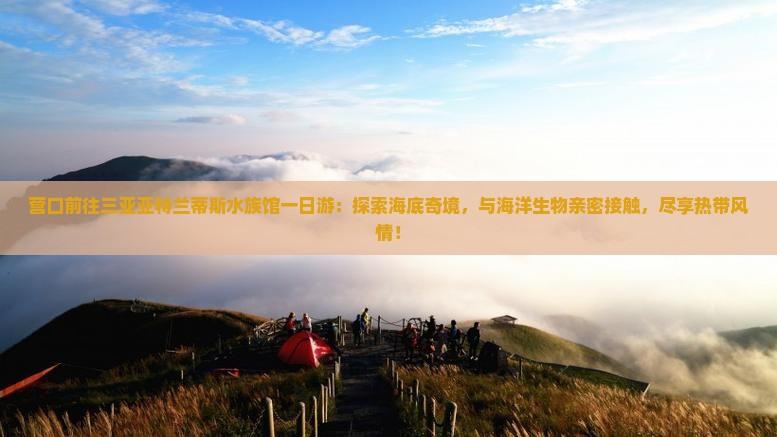 营口前往三亚亚特兰蒂斯水族馆一日游