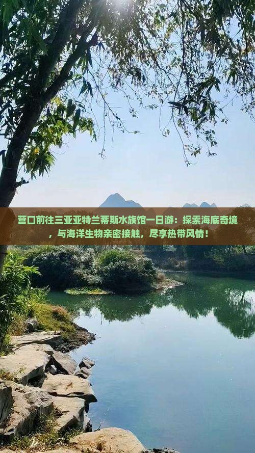 营口前往三亚亚特兰蒂斯水族馆一日游