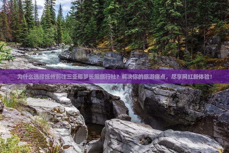 抚州前往三亚椰梦长廊旅行社