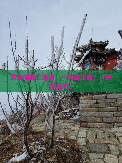 安阳去三亚三亚湾一日游 安阳去三亚三亚湾一日游