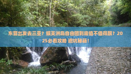 东营出发三亚蜈支洲岛自由团