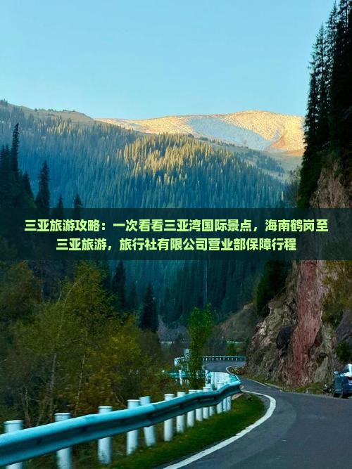 鹤岗去三亚三亚湾二日游