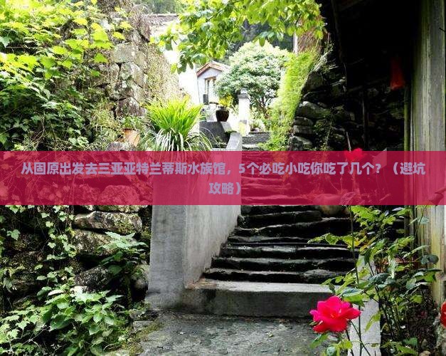 固原出发三亚亚特兰蒂斯水族馆旅游小吃