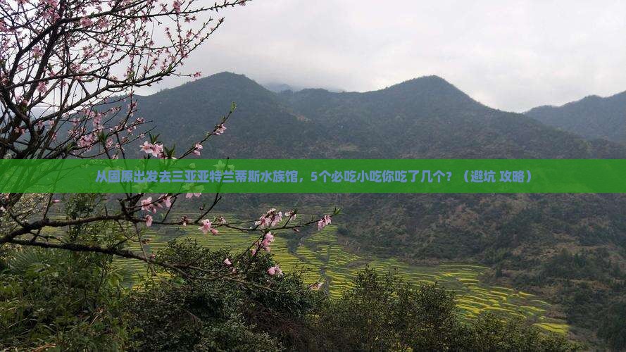 固原出发三亚亚特兰蒂斯水族馆旅游小吃