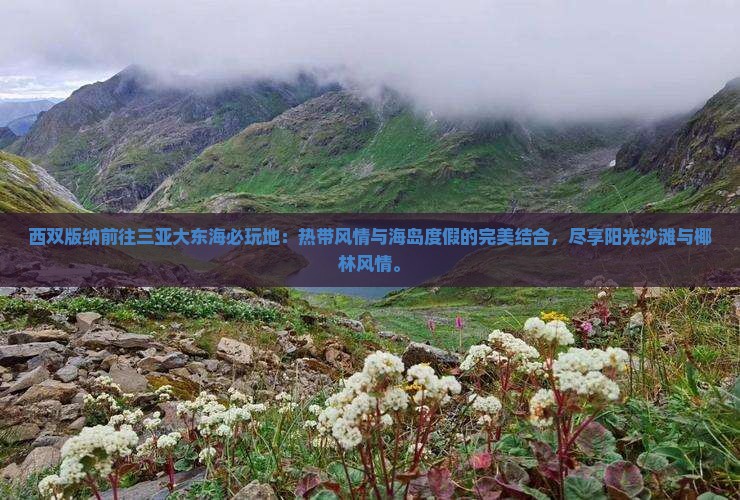 西双版纳前往三亚大东海必玩地