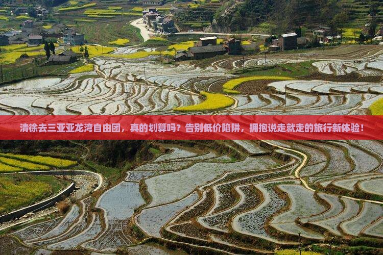清徐去三亚亚龙湾自由团