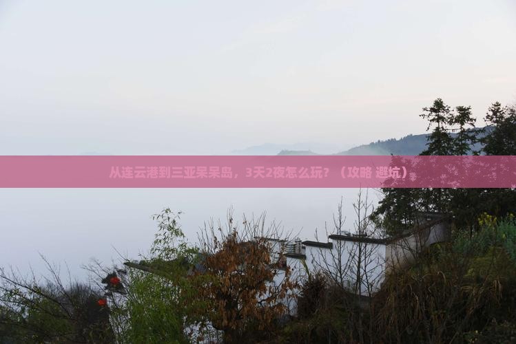 连云港去三亚呆呆岛个人游