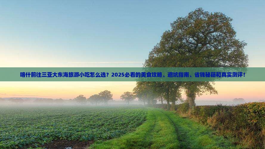 喀什前往三亚大东海旅游小吃