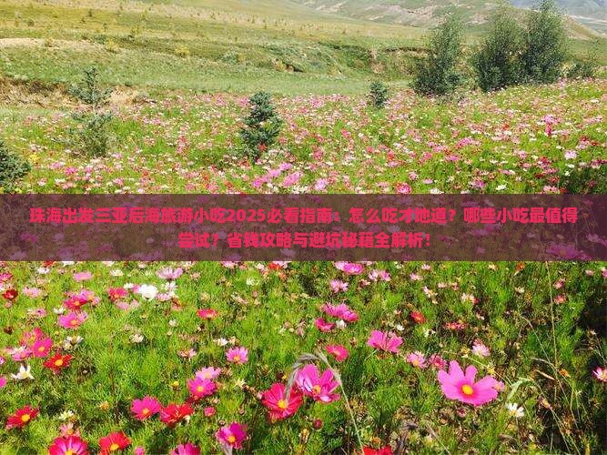 珠海出发三亚后海旅游小吃