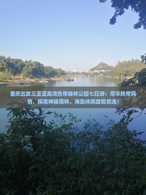重庆出发三亚亚龙湾热带森林公园七日游
