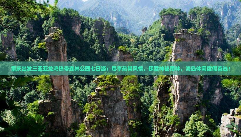 重庆出发三亚亚龙湾热带森林公园七日游