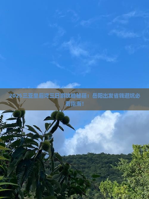 岳阳去三亚皇后湾三日游