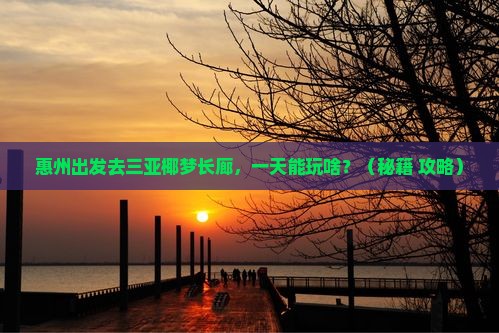 惠州出发三亚椰梦长廊一日游