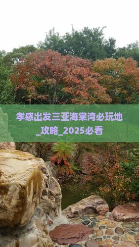孝感出发三亚海棠湾必玩地