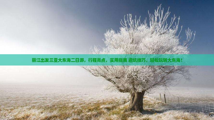 丽江出发三亚大东海二日游