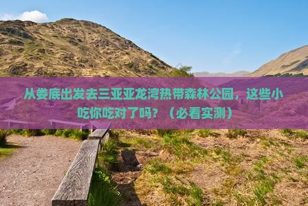 娄底出发三亚亚龙湾热带森林公园旅游小吃