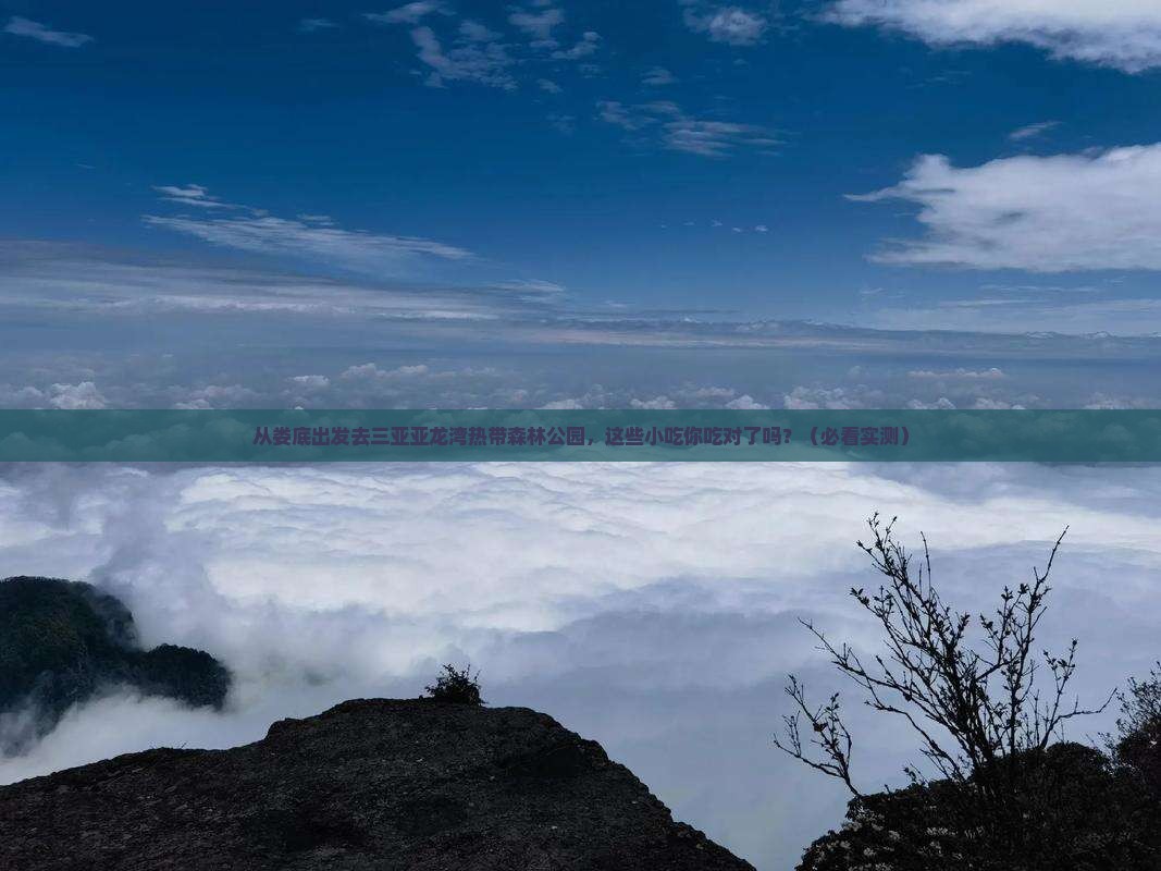 娄底出发三亚亚龙湾热带森林公园旅游小吃