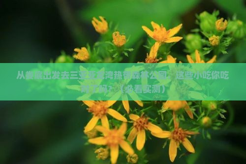 娄底出发三亚亚龙湾热带森林公园旅游小吃