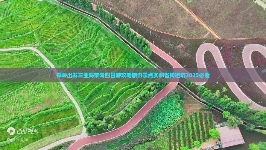 铁岭出发三亚海棠湾四日游 铁岭出发三亚海棠湾四日游