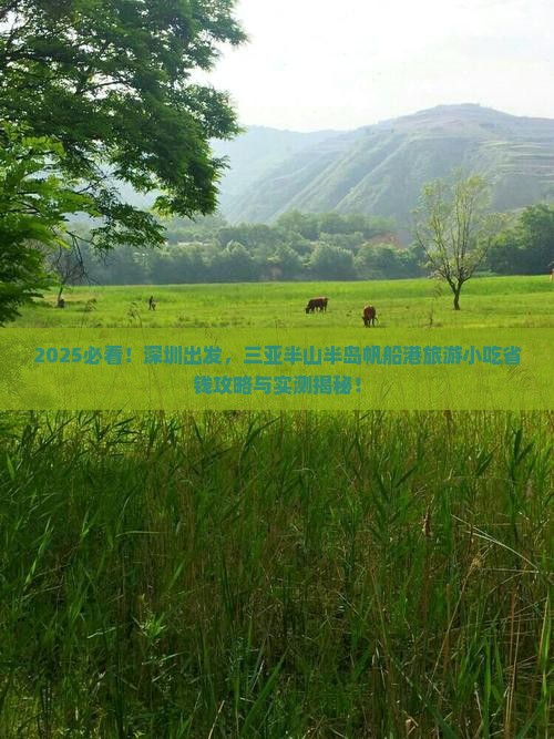 深圳去三亚半山半岛帆船港旅游小吃